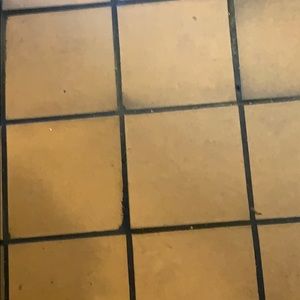 Meet your Posher, Cheyenne